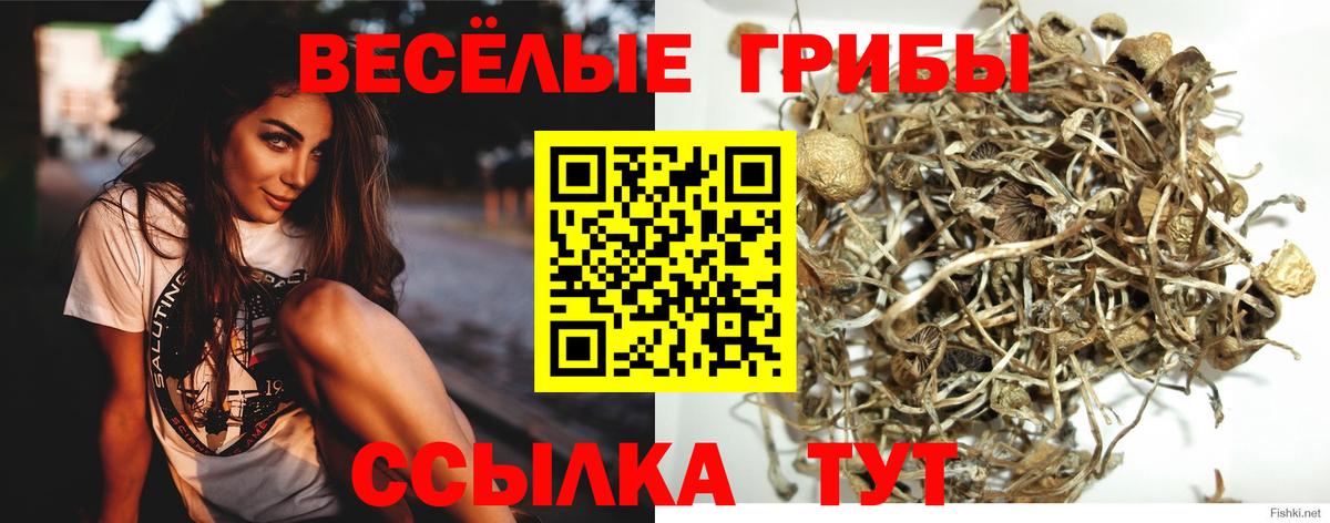 Галлюциногенные грибы Magic Shrooms  купить   Псилоцибиновые грибы мицелий  Дзержинский  Вход с VPN 